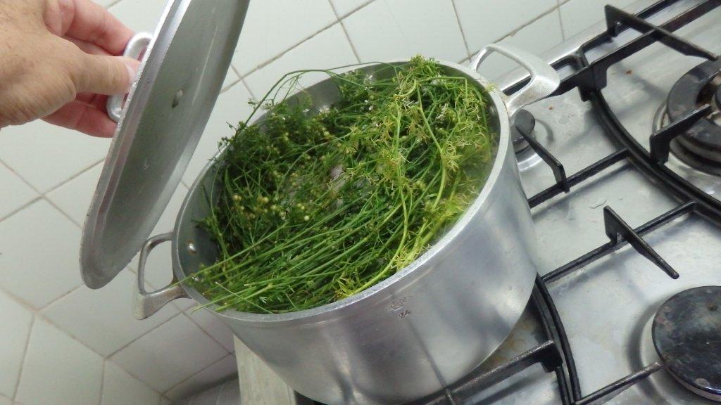 Fricassé de pescada com lima