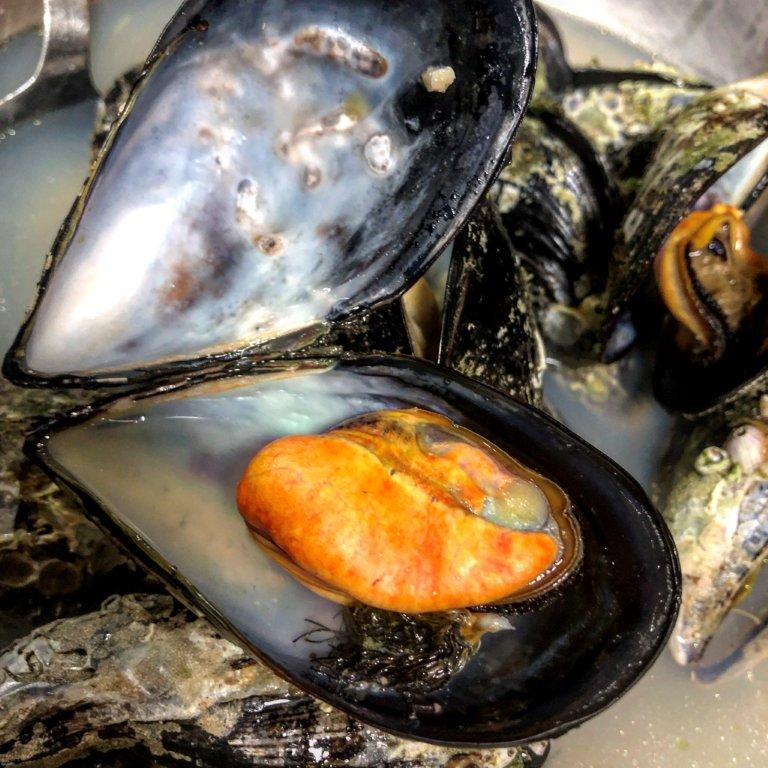 Mexilhão da Ericeira