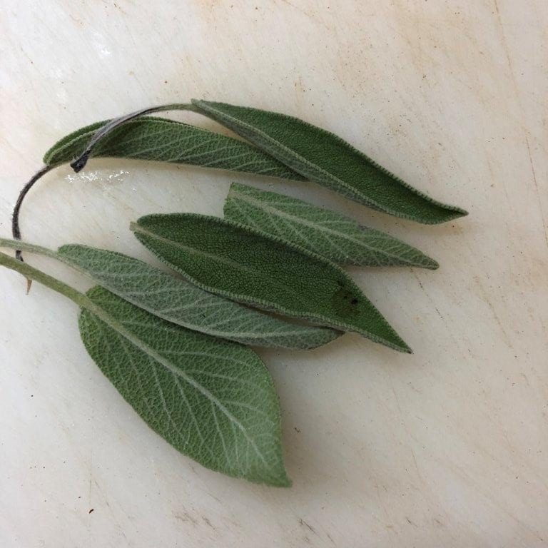 Uma espécie de focaccia a saber a salva